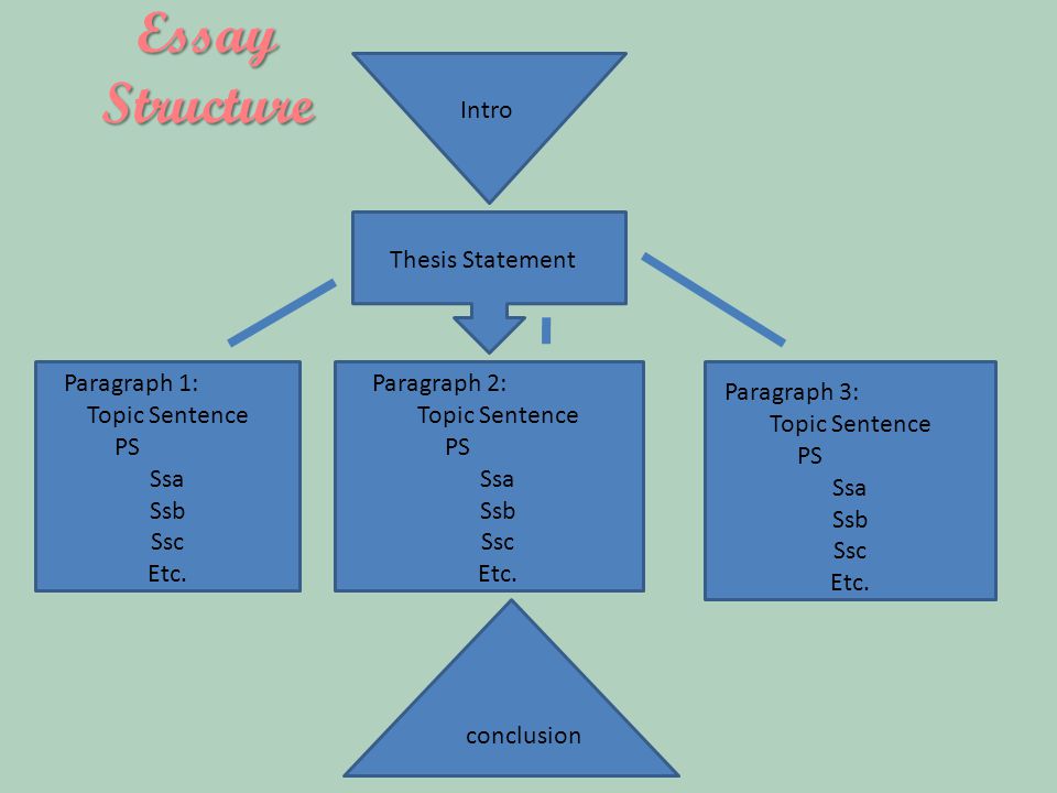 Essay Structure Thesis Statement Paragraph 1: Topic Sentence PS Ssa Ssb Ssc Etc.