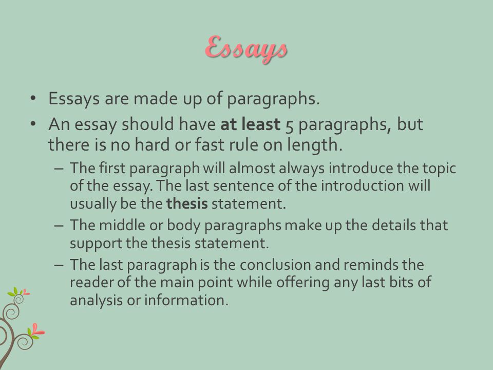 Essays Essays are made up of paragraphs.