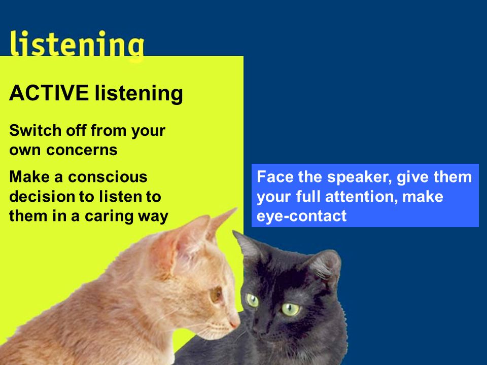 Face the speaker, give them your full attention, make eye-contact Make a conscious decision to listen to them in a caring way ACTIVE listening Switch off from your own concerns