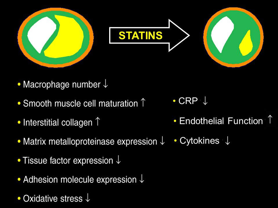 STATINS CRP Endothelial Function Cytokines