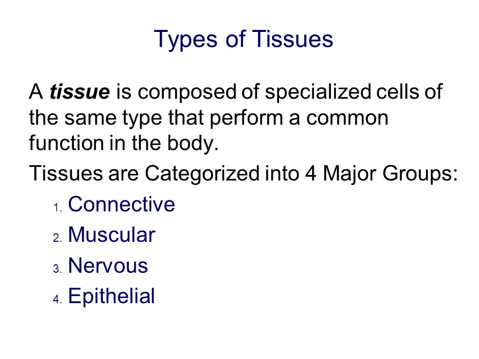 organization and regulation of body systems ppt video online download groups of tissues with the same function form