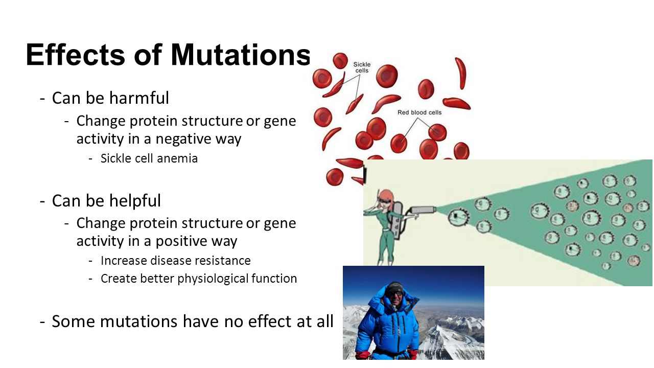 sickle cell disease 2 essay sickle cell disease 2 essay