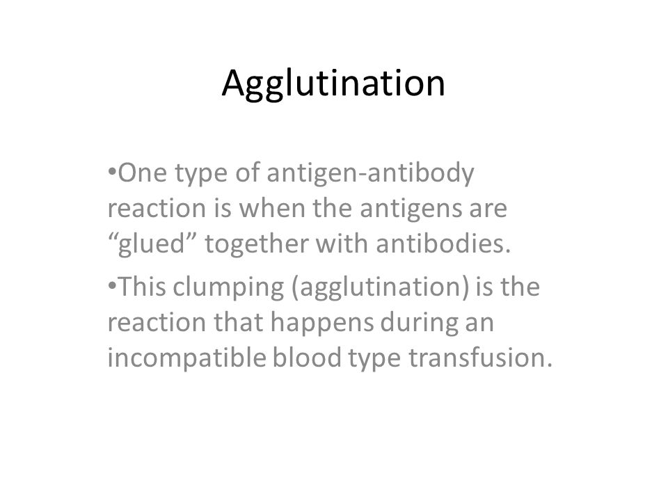 One type of antigen-antibody reaction is when the antigens are glued together with antibodies.