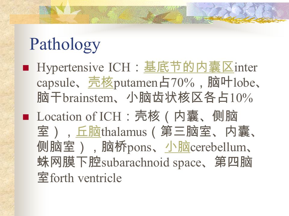 hypertensive ich :基底节的内囊区 inter capsule ,壳核 putamen 占