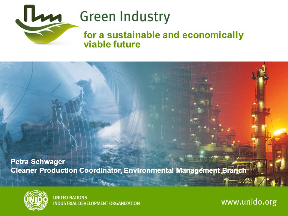 for a sustainable and economically viable future Petra Schwager Cleaner Production Coordinator, Environmental Management Branch