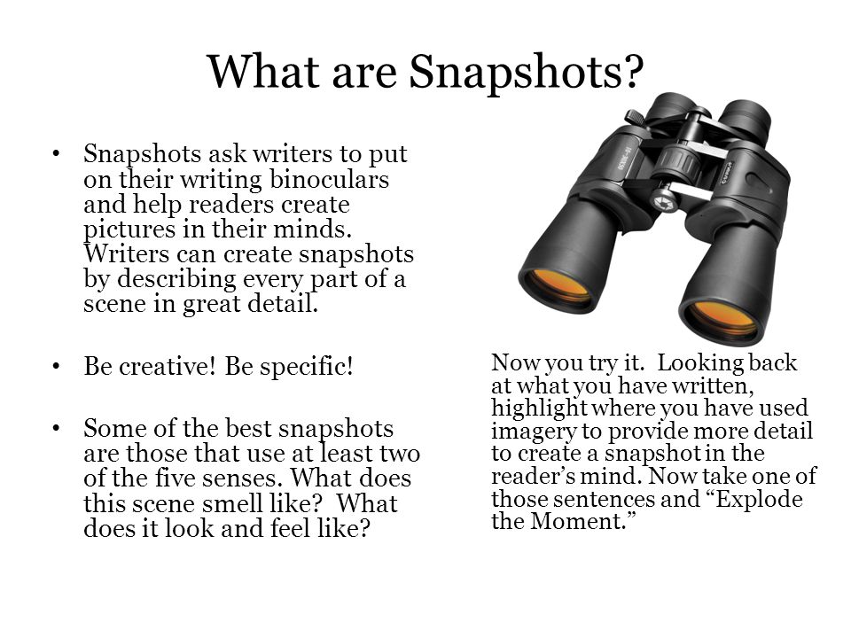 What are Snapshots.
