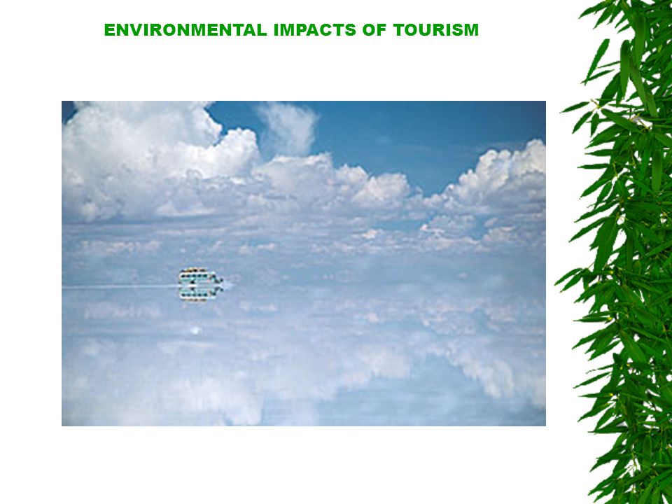 the environmental impacts of tourism the environmental impacts of tourism