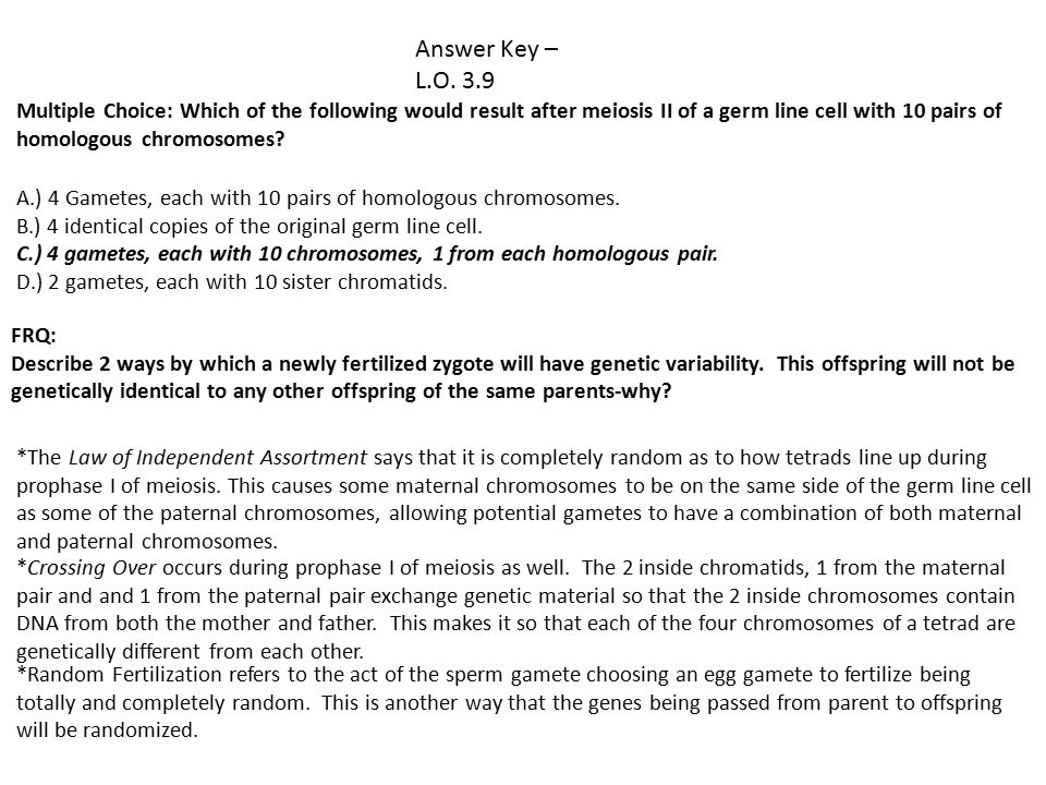 Worksheets Worksheet 3.9 Mitosis Sequencing Answer Key answer lo 3 1 synthesis of a new dna strand usually begins key l o 9 multiple choice which the following would result after meiosis