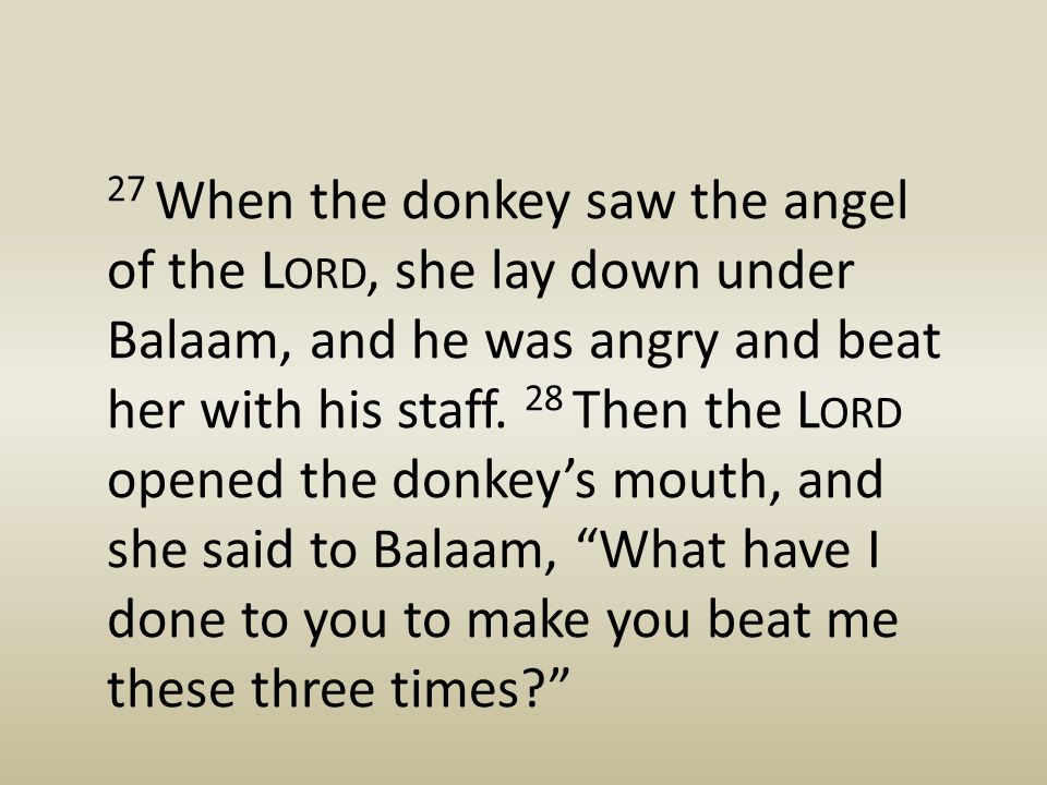 book of numbers talking donkey