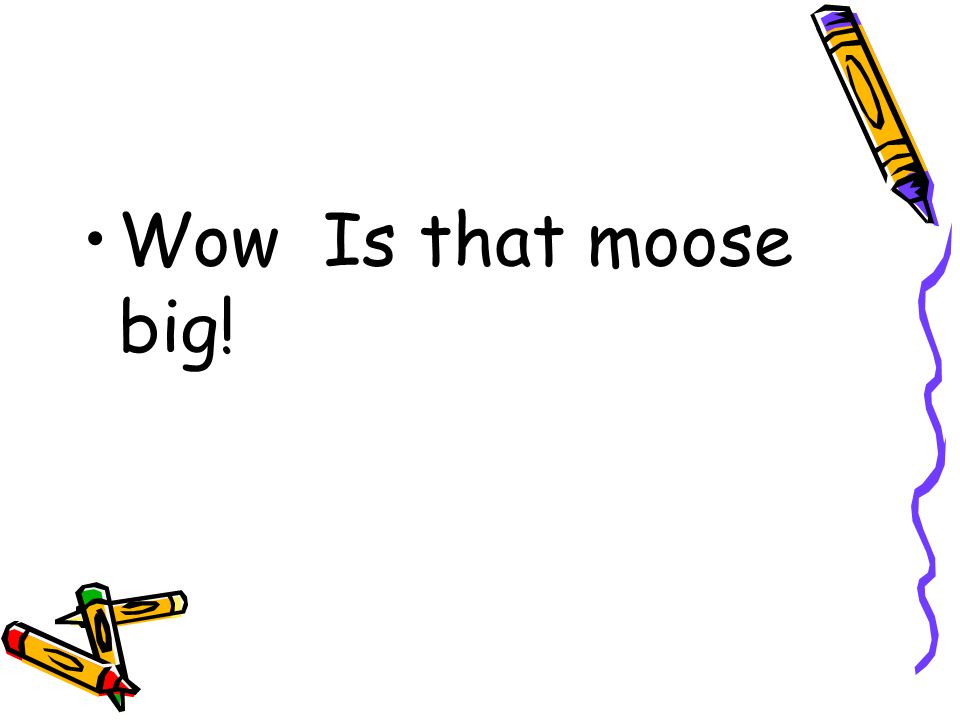 Wow Is that moose big!