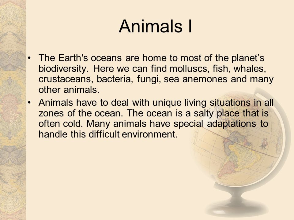 Animals I The Earth s oceans are home to most of the planet’s biodiversity.