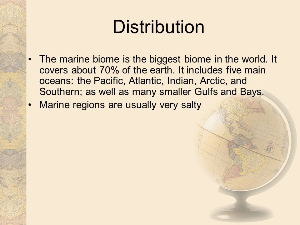 Distribution The marine biome is the biggest biome in the world.