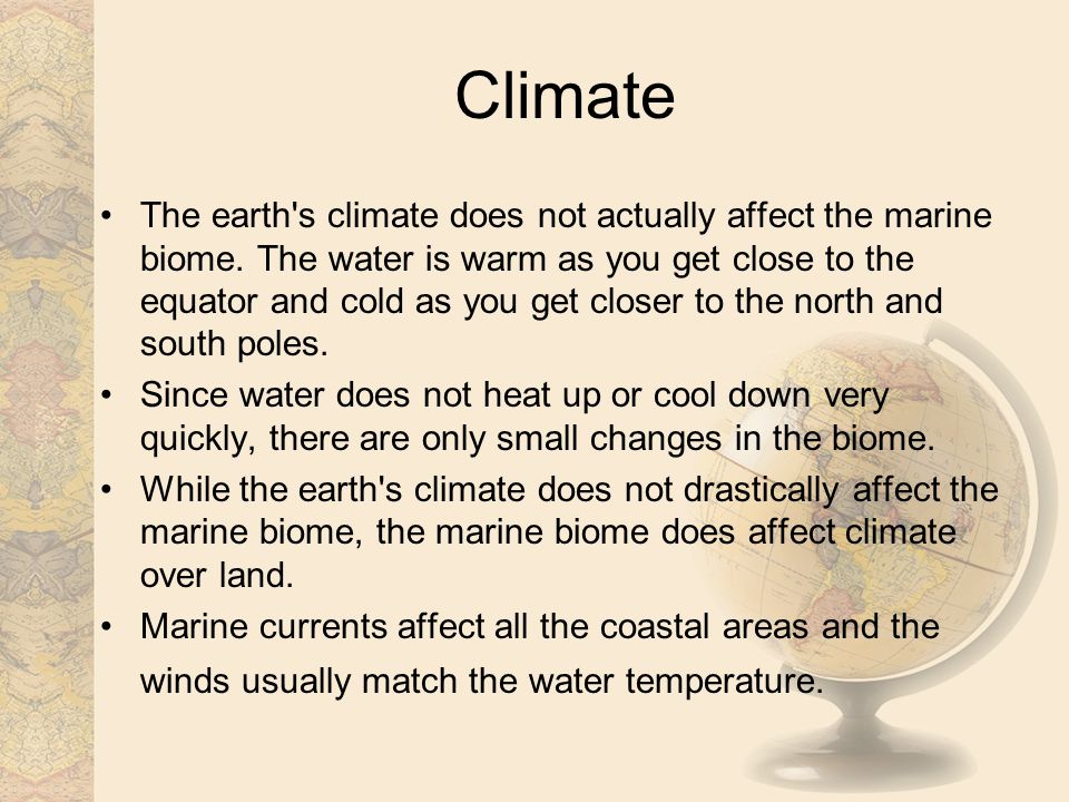 Climate The earth s climate does not actually affect the marine biome.