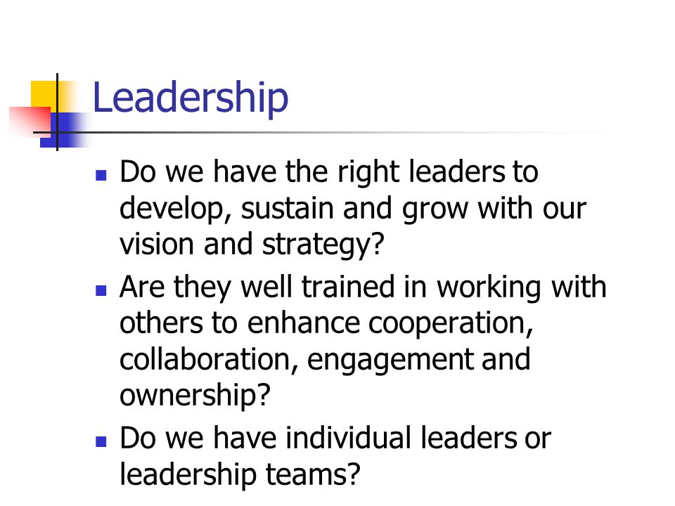 Leadership Do we have the right leaders to develop, sustain and grow with our vision and strategy.