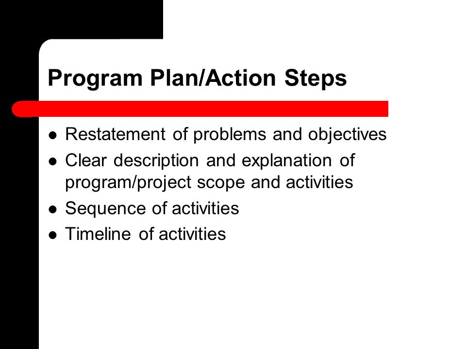 Program Plan/Action Steps Restatement of problems and objectives Clear description and explanation of program/project scope and activities Sequence of activities Timeline of activities