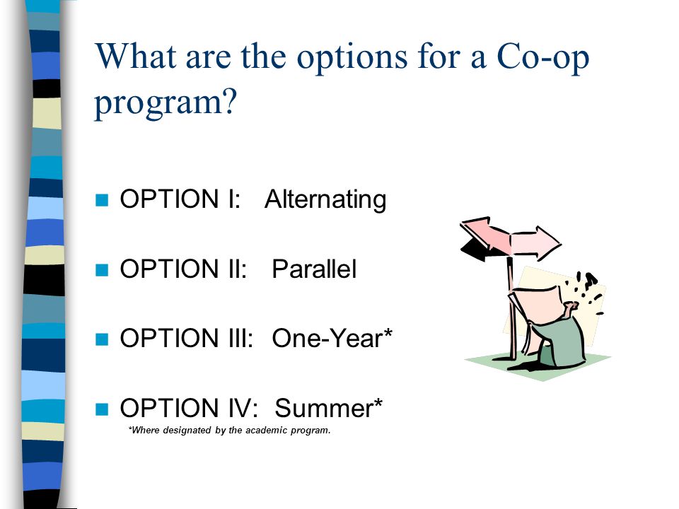 What are the options for a Co-op program.