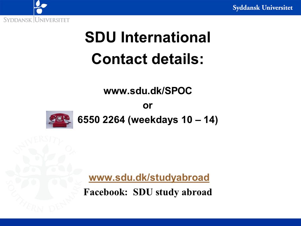 SDU International Contact details:   or (weekdays 10 – 14)   Facebook: SDU study abroad