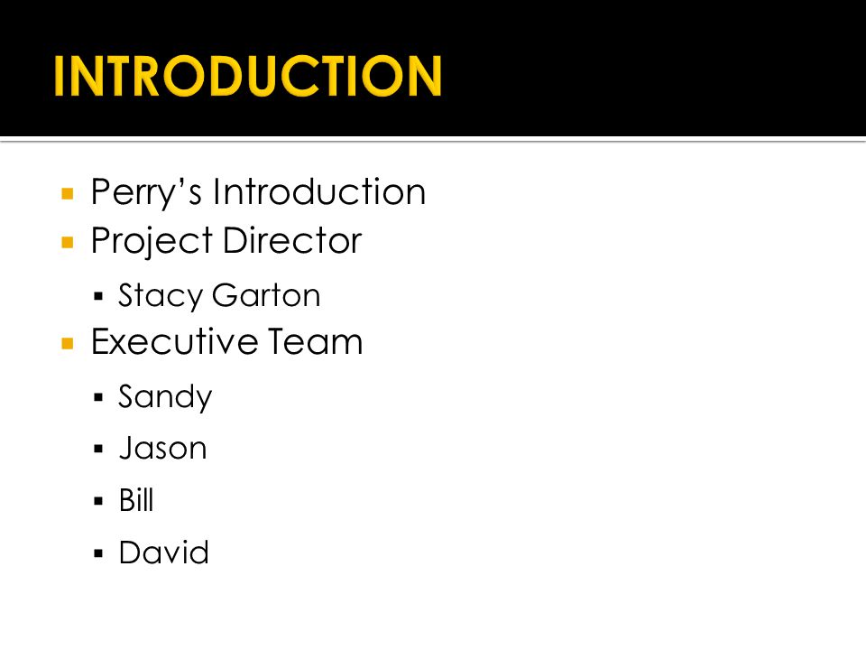  Perry’s Introduction  Project Director  Stacy Garton  Executive Team  Sandy  Jason  Bill  David