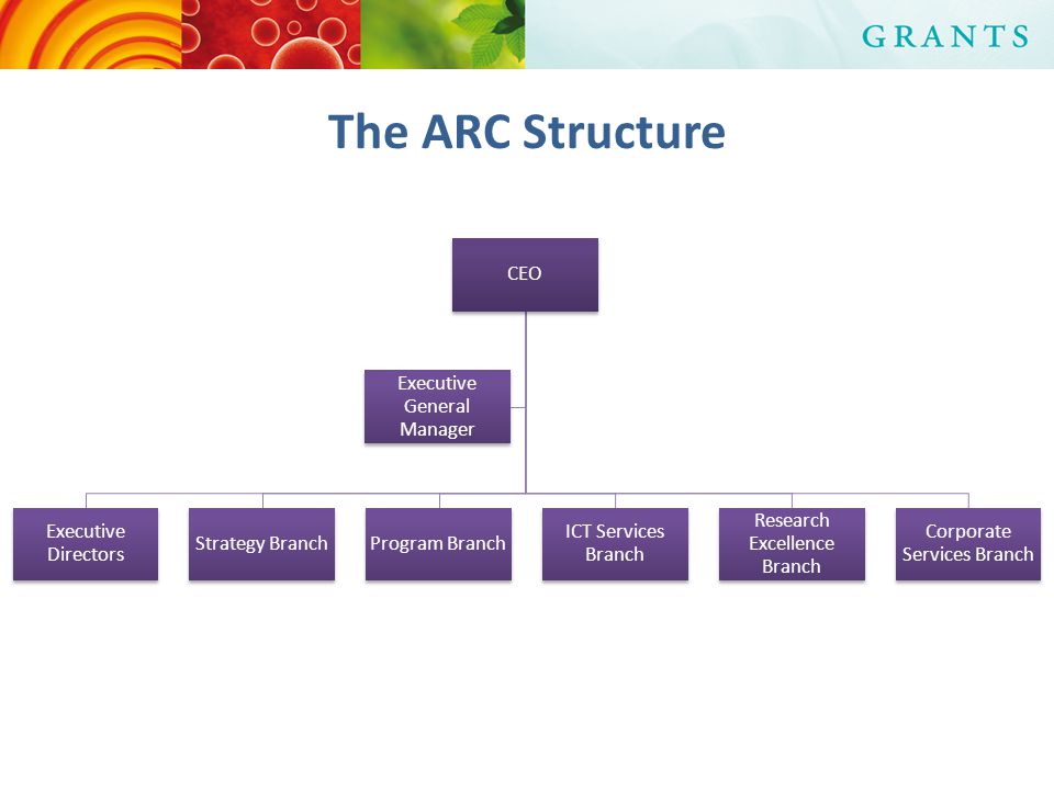 The ARC Structure CEO Executive Directors Strategy BranchProgram Branch ICT Services Branch Research Excellence Branch Corporate Services Branch Executive General Manager