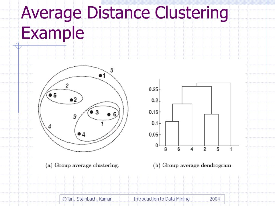Average Distance Clustering Example ©Tan, Steinbach, Kumar Introduction to Data Mining 2004