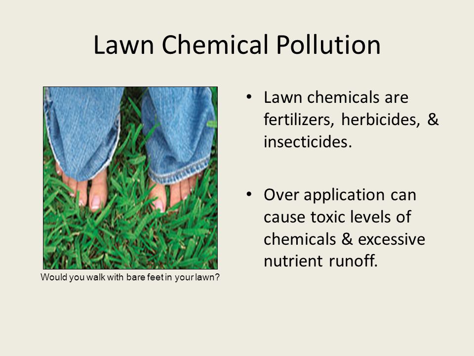 Lawn Chemical Pollution Lawn chemicals are fertilizers, herbicides, & insecticides.