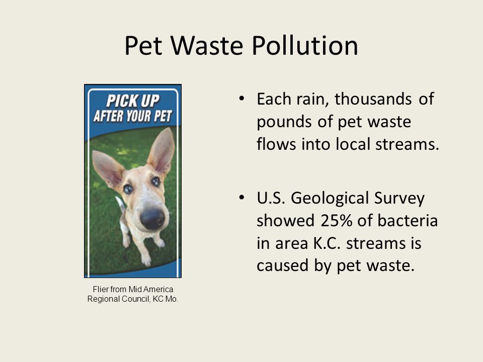 Pet Waste Pollution Each rain, thousands of pounds of pet waste flows into local streams.