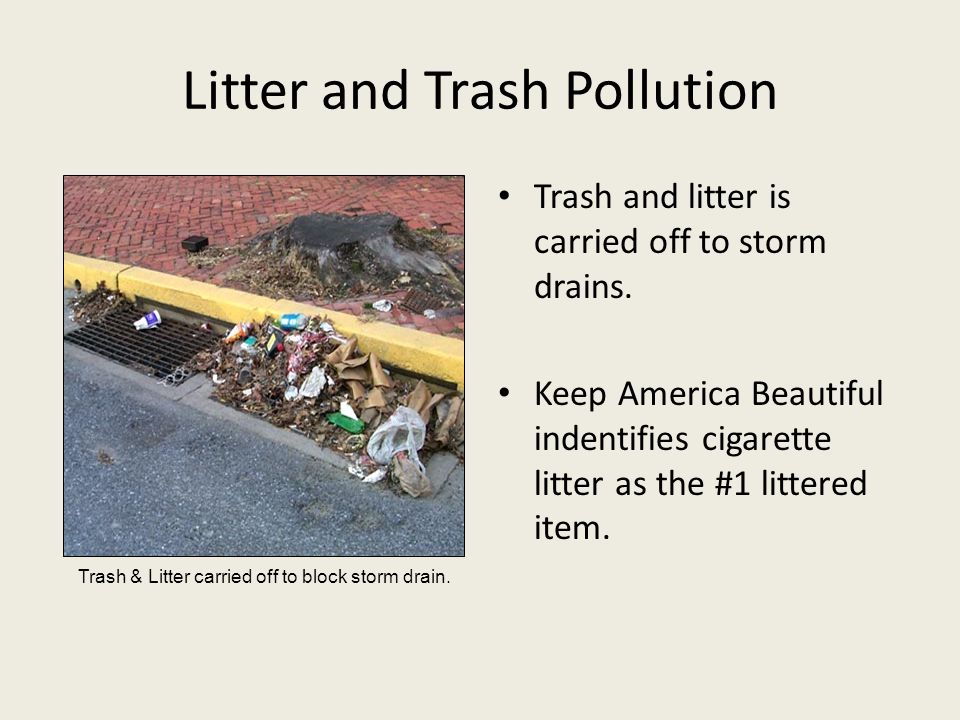 Litter and Trash Pollution Trash and litter is carried off to storm drains.