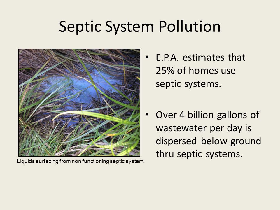 Septic System Pollution E.P.A. estimates that 25% of homes use septic systems.
