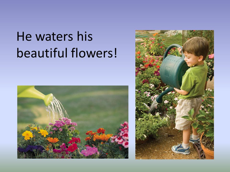 He waters his beautiful flowers!