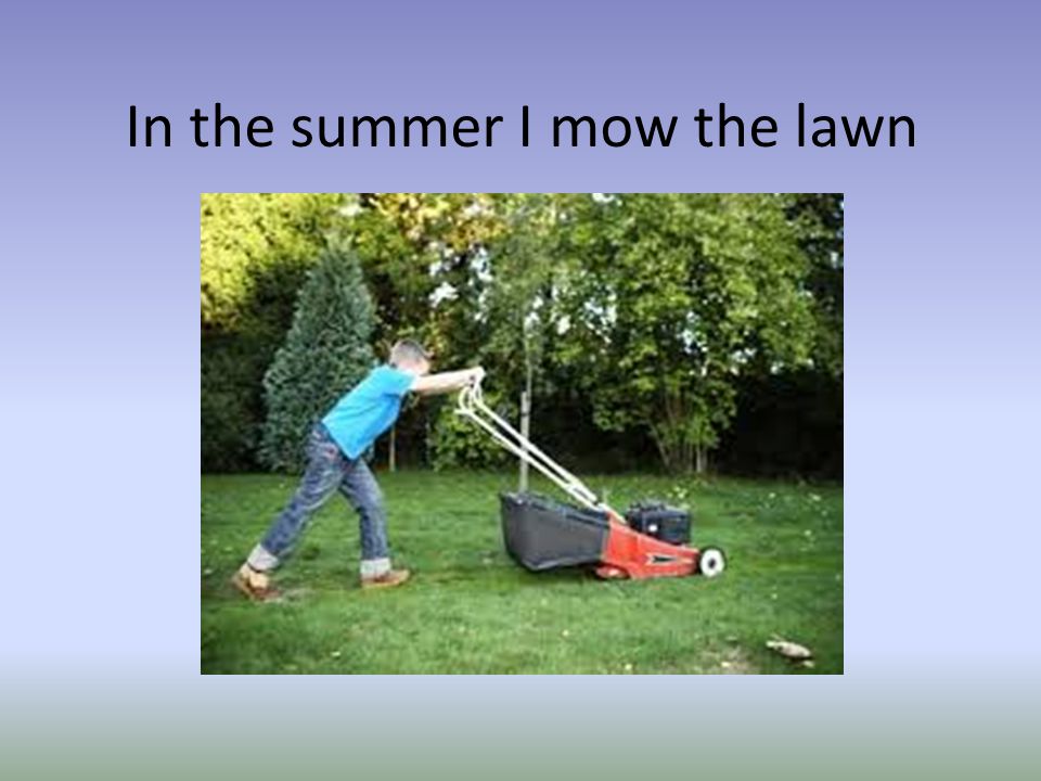 In the summer I mow the lawn