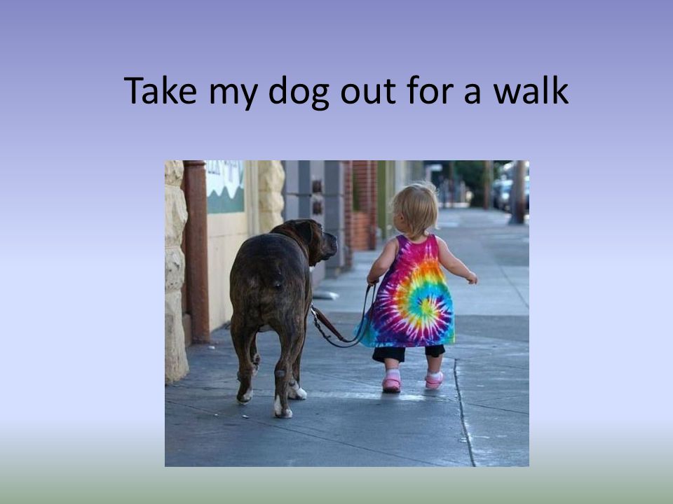 Take my dog out for a walk