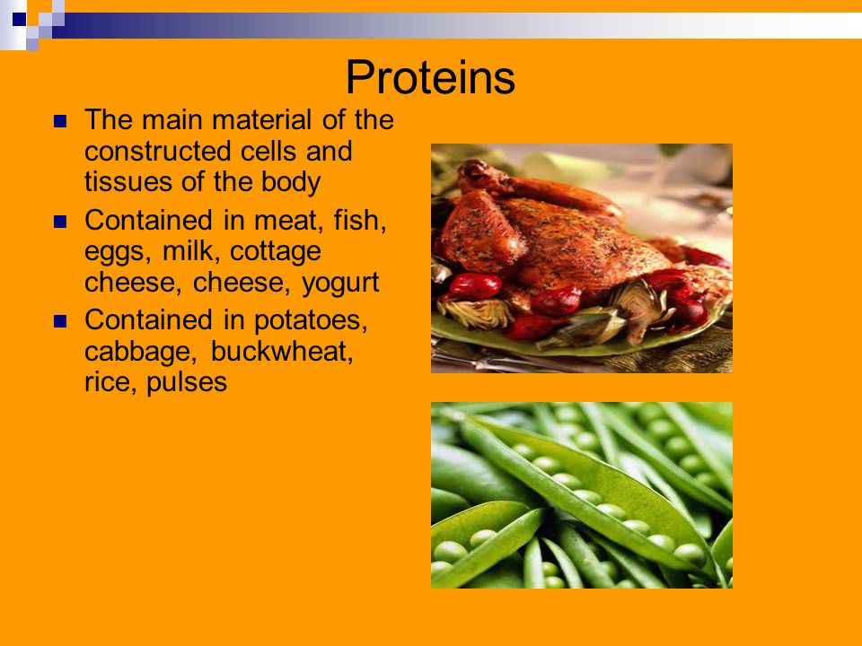 Proteins The main material of the constructed cells and tissues of the body Contained in meat, fish, eggs, milk, cottage cheese, cheese, yogurt Contained in potatoes, cabbage, buckwheat, rice, pulses
