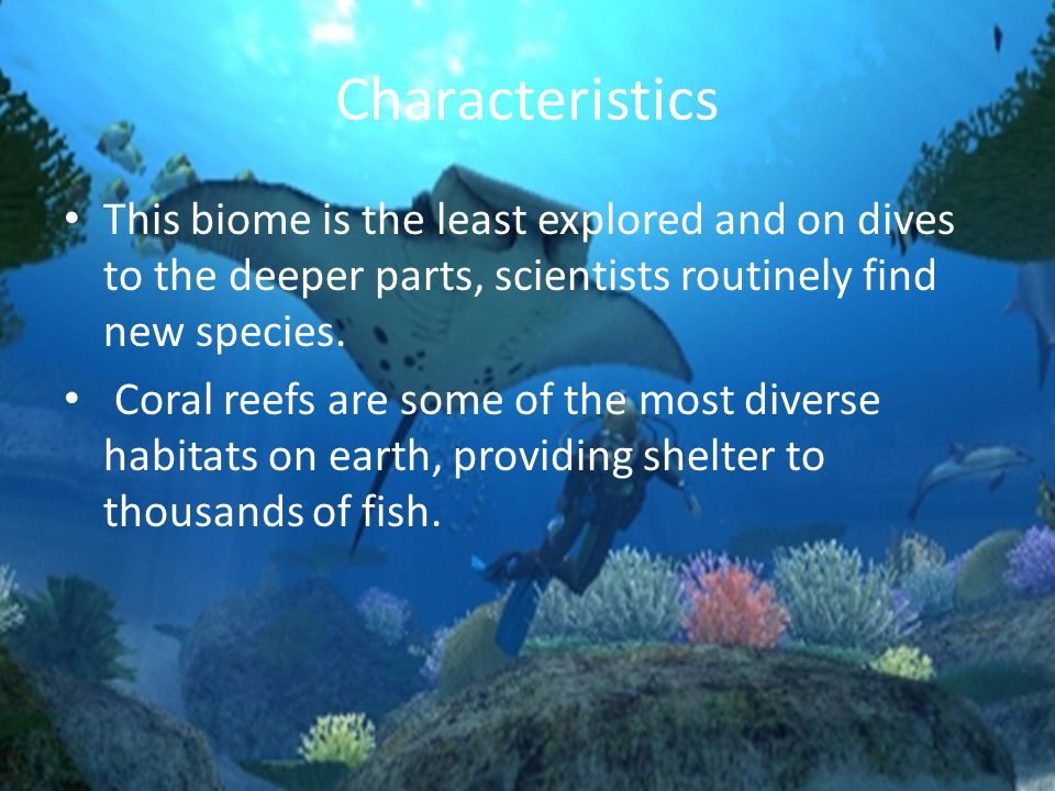 Characteristics This biome is the least explored and on dives to the deeper parts, scientists routinely find new species.