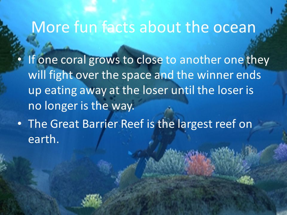 More fun facts about the ocean If one coral grows to close to another one they will fight over the space and the winner ends up eating away at the loser until the loser is no longer is the way.