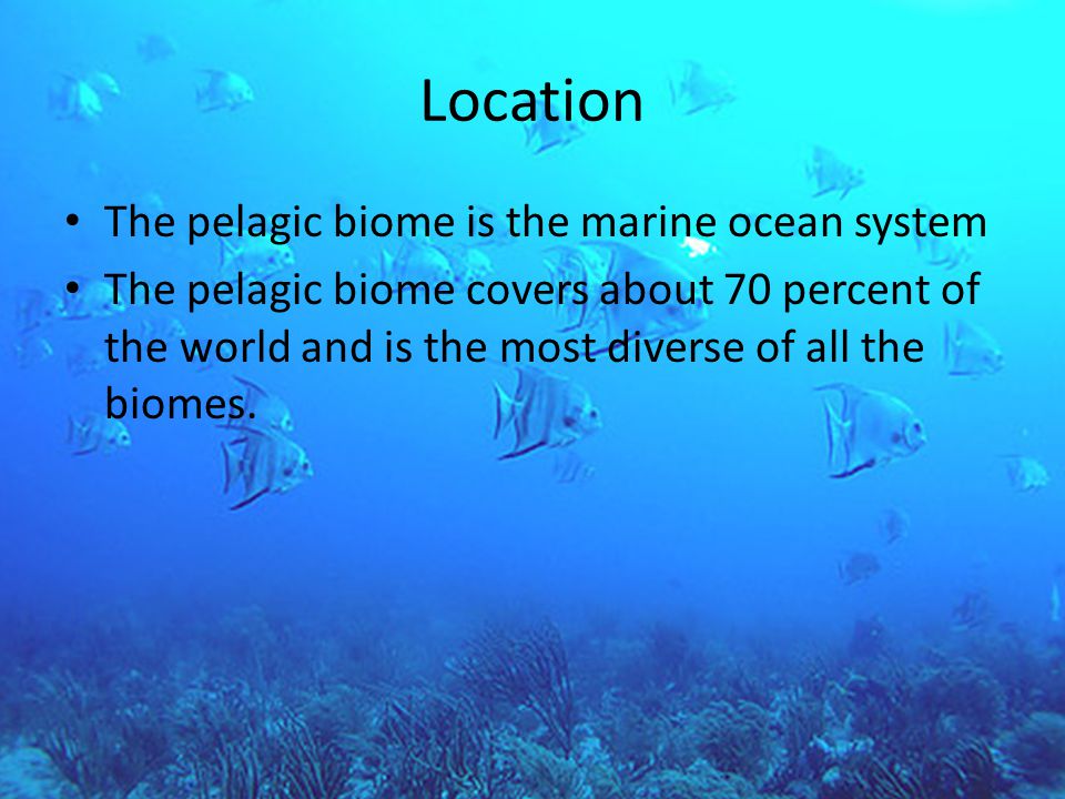 Location The pelagic biome is the marine ocean system The pelagic biome covers about 70 percent of the world and is the most diverse of all the biomes.