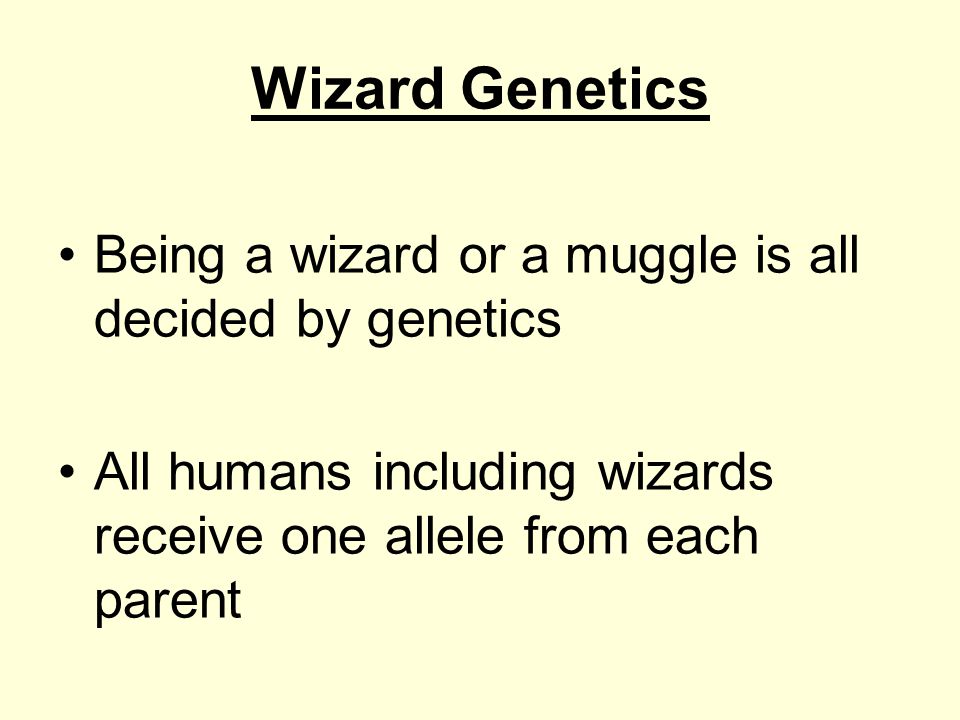 Wizard Genetics Being a wizard or a muggle is all decided by genetics All humans including wizards receive one allele from each parent