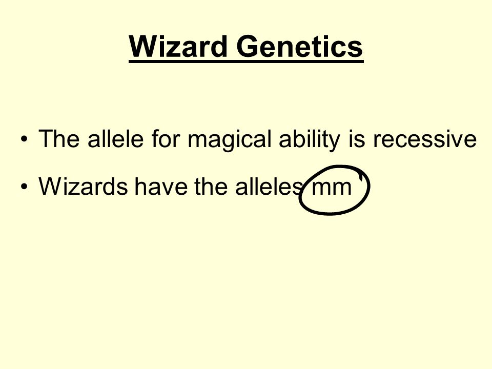 Wizard Genetics The allele for magical ability is recessive Wizards have the alleles mm