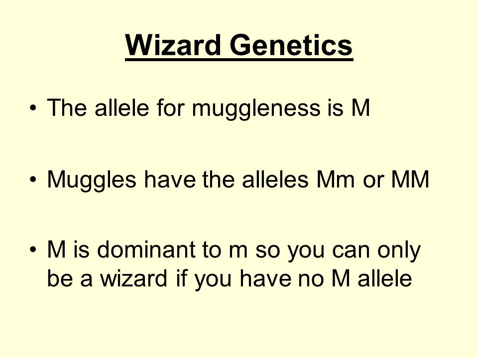 Wizard Genetics The allele for muggleness is M Muggles have the alleles Mm or MM M is dominant to m so you can only be a wizard if you have no M allele