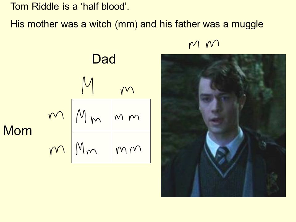 Tom Riddle is a ‘half blood’. His mother was a witch ( mm ) and his father was a muggle Mom Dad