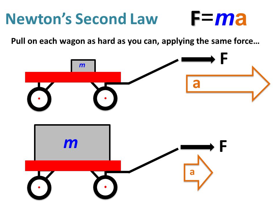 Newton’s Second Law Pull on each wagon as hard as you can, applying the same force… m m F a a F FF=maFF=ma