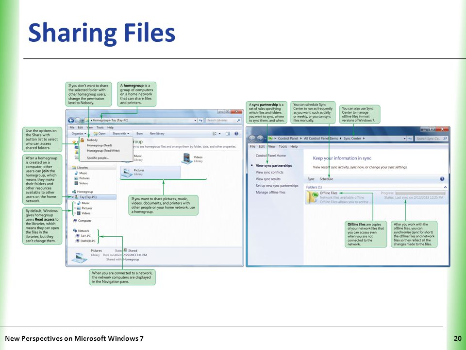 XP Sharing Files New Perspectives on Microsoft Windows 720