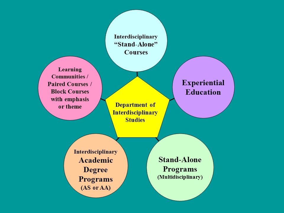 Stand-Alone Programs (Multidisciplinary) Interdisciplinary Academic Degree Programs (AS or AA) Learning Communities / Paired Courses / Block Courses with emphasis or theme Interdisciplinary Stand-Alone Courses Experiential Education Department of Interdisciplinary Studies