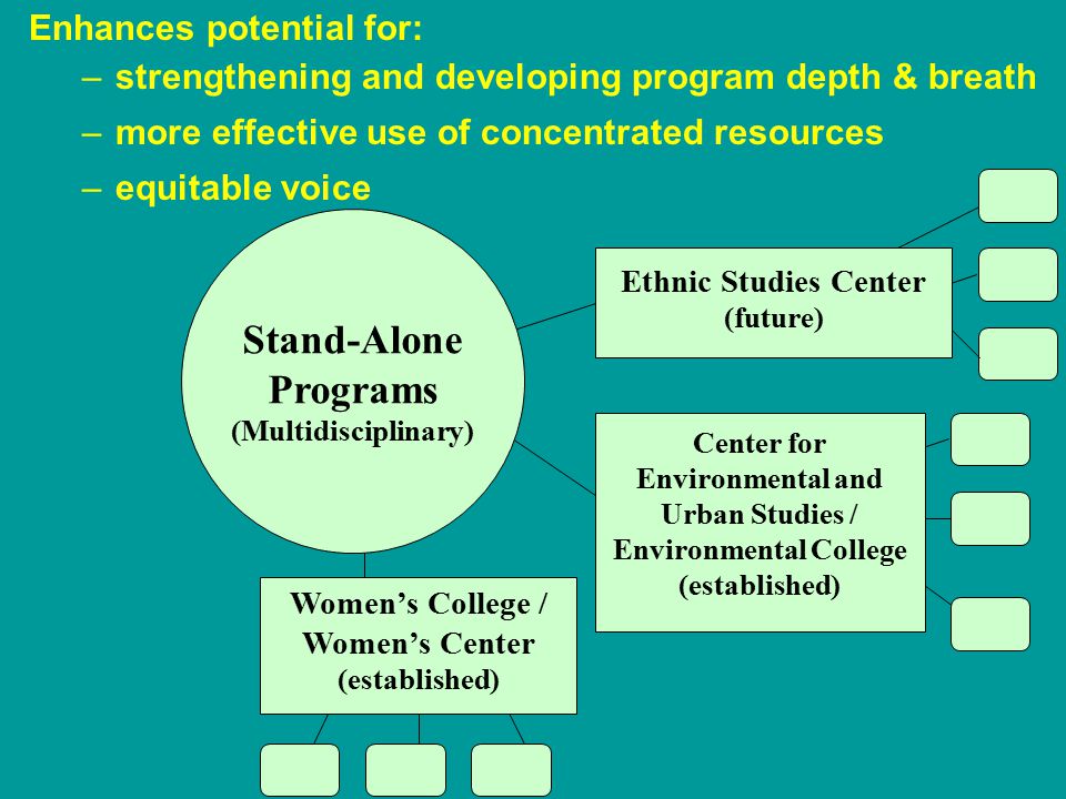 Center for Environmental and Urban Studies / Environmental College (established) Women’s College / Women’s Center (established) Ethnic Studies Center (future) Stand-Alone Programs (Multidisciplinary) Enhances potential for: –strengthening and developing program depth & breath –more effective use of concentrated resources –equitable voice