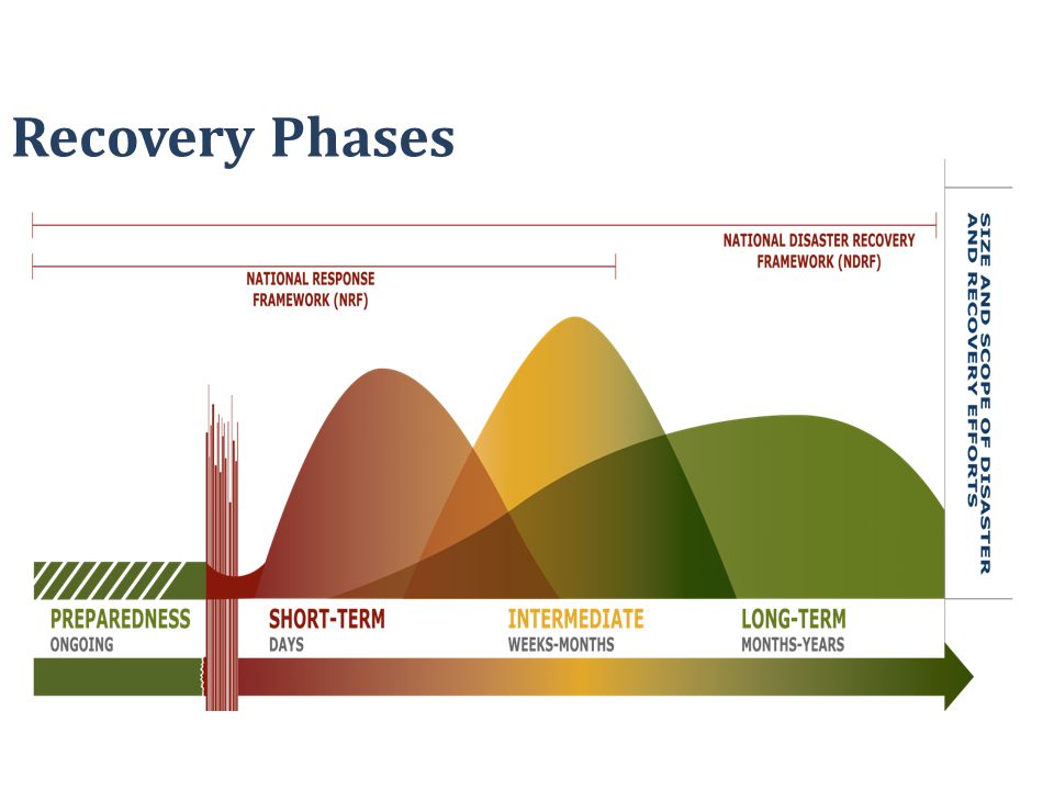 Recovery Phases