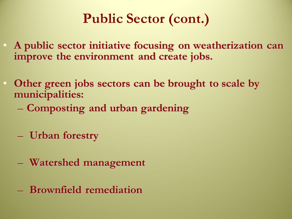 Public Sector (cont.) A public sector initiative focusing on weatherization can improve the environment and create jobs.A public sector initiative focusing on weatherization can improve the environment and create jobs.