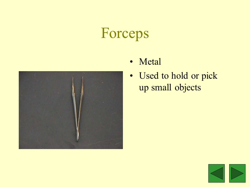 Forceps Metal Used to hold or pick up small objects