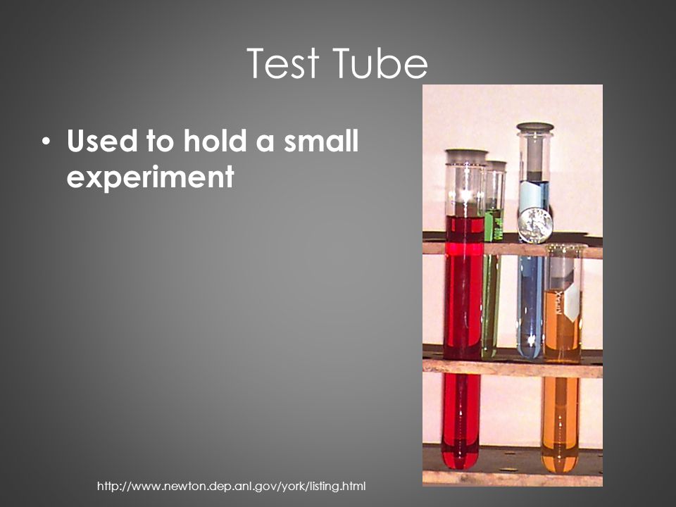 Test Tube Used to hold a small experiment