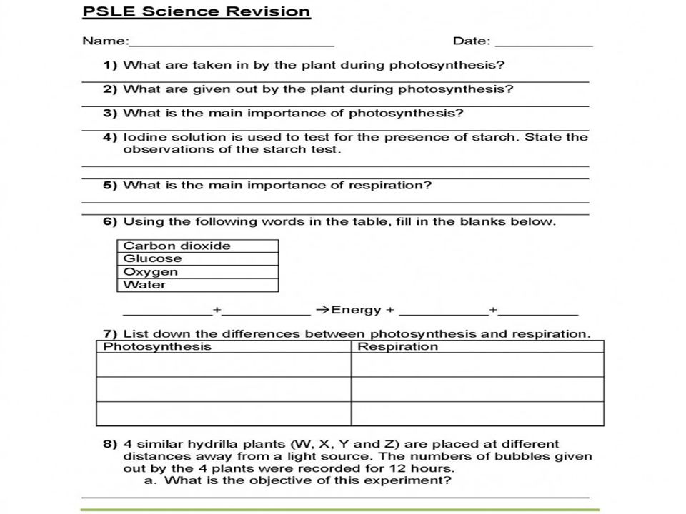 Photosynthesis Making Energy Worksheet Brain Ideas Photosynthesis Making Energy Worksheet Answers Sheet Print