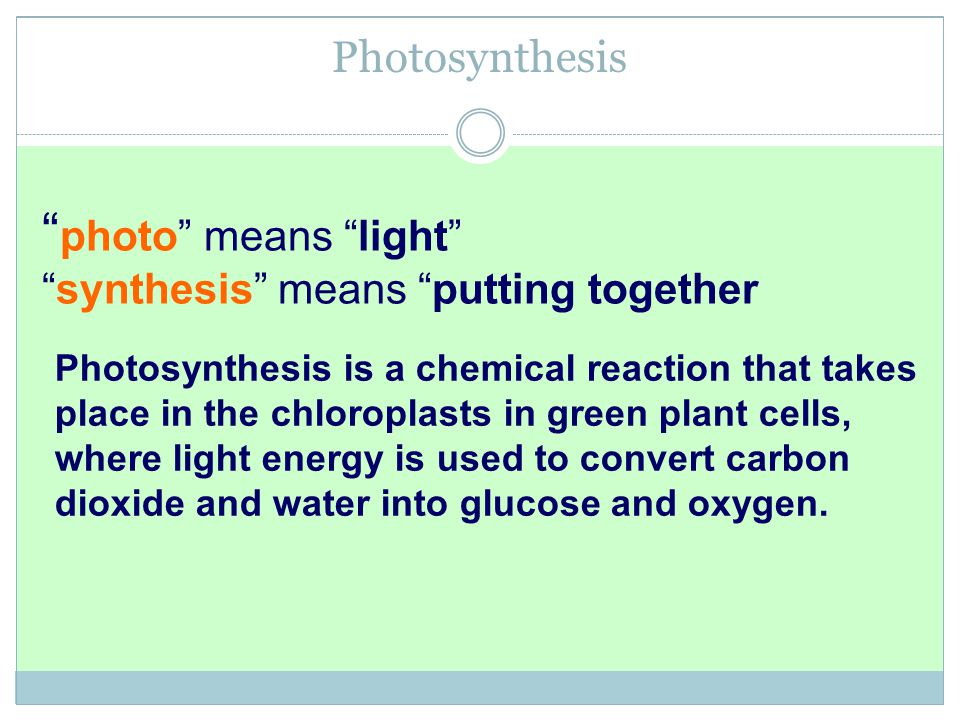 What S The Equation For Photosynthesis In Words Talkchannels Photosynthesis Word Equation