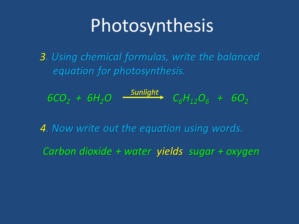 Reviewing Your Knowledge Photosynthesis